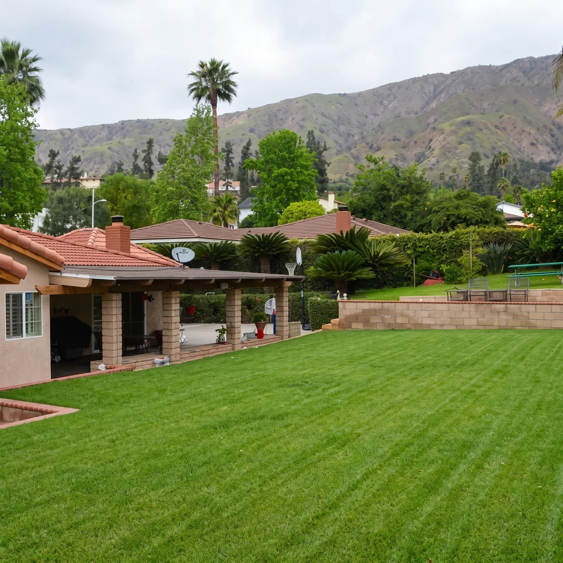 A landscaped back lawn with a covered patio, mature palms, and foothills rising behind the property